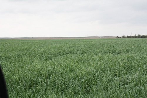 Property photo 71 - LAND AUCTION, 3255+/- Acres offered in 13 Tracts